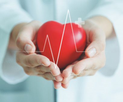 Female medical doctor holding red heart shape in hand with graphic of heart beat, cardiology and insurance concept