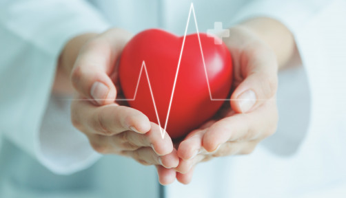 Female medical doctor holding red heart shape in hand with graphic of heart beat, cardiology and insurance concept